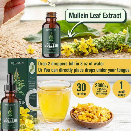 60Ml Mullein Leaf Extract Drops Mullein Leaf Extract I Month Supply Extract Known for Its Historical Use and Powerful Strength